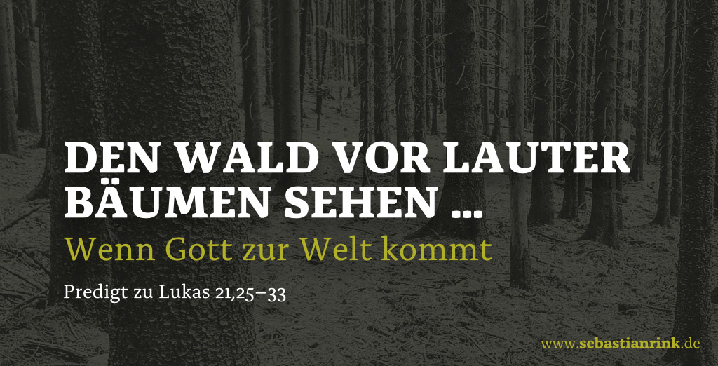 »Den Wald vor lauter Bäumen sehen« wenn Gott zur Welt kommt … BEDENKZEIT